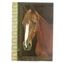 A HORSE IN A STABLE used postcard by 1974 postmark Netherlands =