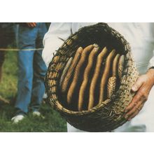 Beekeeping Operations Straw Bee Hive Skep Combs Bees Postcard
