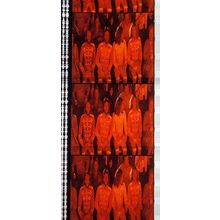 Bee Gee's. Pk MTP -BGs - A019s . 1 STRIP OF 5 - 35MM FILM CELLS.