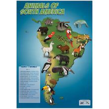 South americam animals map Poster Canvas Movie Film Print A0 A1 A2 A3 A4 A5 A6 A