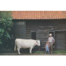 South Elmham Hall Harleston Norfolk Suffolk White Cow Farm Farming Postcard