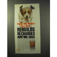 1977 Purina High Protein Dog Meal Ad - Recharges