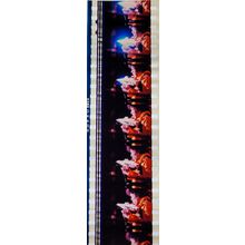 Jimi Hendrex. Pk MTP - A020t . 1 STRIP OF 5 - 35MM FILM CELLS. A very rare strip