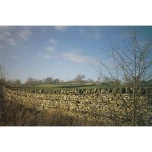 Wensleydale Dry Stone Wall Stunning Postcard