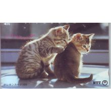 Kittens Japan NTT Phone Card