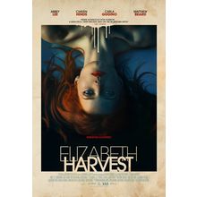 Elizabeth Harvest (2018)_0 Movie Film Poster Canvas iconic design