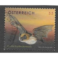 AUT 2007 55c (S/A) 'WHISKERED BAT ' FINE USED (EBID73-276)