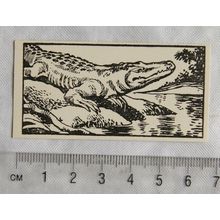 1953 Teddy Bear Lollies Interesting Animals card No. 30 Crocodile