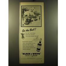 1950 Black & White Scotch Ad - On the Ball