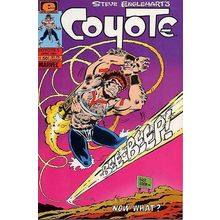 Coyote (Vol 1) # 005 NM MODERN AGE COMICS