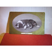 'tired out', DOG used antique postcard RP=