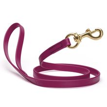 Dog Pet Leash with Brass Hardware W 5/8” L 6 FT Magenta Pink