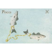 Pisces Zodiac by Queen Elizabeth II Military Guards Famous Painter Postcard