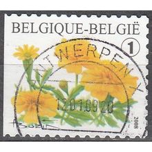 Belgique 2008 COB 3785 O Cote (2016) 0.60 Euro Fleur Tagetes Patula Cachet rond