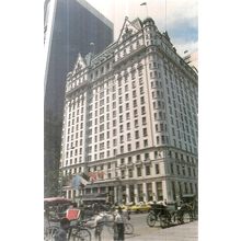 THE PLAZA HOTEL, NEW YORK CITY, USA unused postcard /