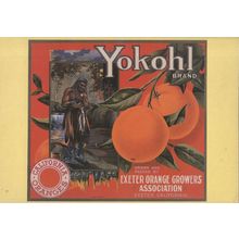 Yokohl Exeter Orange Fruit Advertising Postcard