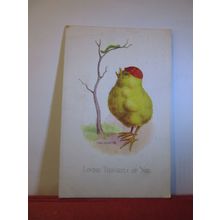 HUNGRY CHICK by Reg Maurice . HUMOUR used antique postcard by Regent c.1911 pm =