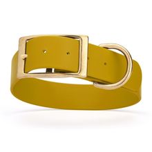 Dog Pet Collar with Brass Hardware Size L W 1.5” L 16” - 20” Treasure Gold
