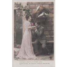 Lovers At Birds House Secret Spy Code Glamour Lady Old Romantic Postcard