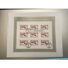 ICOLLECTZONE US 3210 First Day Cancel FDC (A800)