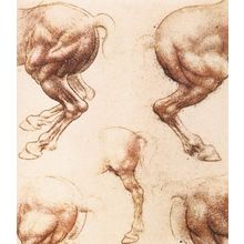 Leonardo_da_Vinci_Study_of_horses2 Art Gallery Poster Canvas Print Wall Decorati
