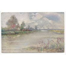 Morning on the Broads 1906 The Norfolk Broads Series Art Postcard