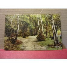 THE WOODS, ST. MARY CRAY, BROMLEY, LONDON unused postcard by F. Frith =