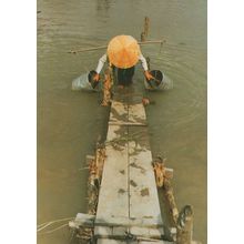 Vietnam Water Carrier Asian Postcard