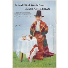 Llanfairfechan A Real Bit Of Welsh Old Mailing Novelty Postcard