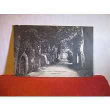 VINCHELEZ LANE , JERSEY unused antique postcard #