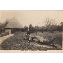 The Public Gardens Braintree Real Photo Postcard