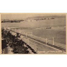 Durban Esplanade & Docks South Africa Antique Postcard