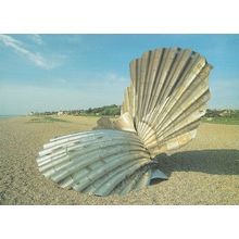 Scallop Shell Aldeburgh Suffolk Postcard