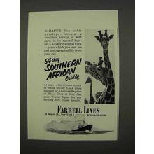 1955 Farrell Lines Southern African Cruise Ad - Giraffe