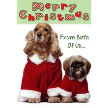 Merry Christmas From Both of Us - Christmas Greeting Card - 20946