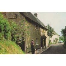 Mill Lane Nosey Neighbour Chideock Dorset 1970s Postcard