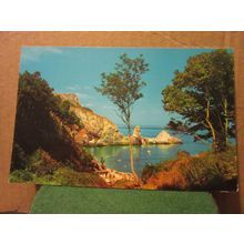 ANSTEY'S COVE, TORQUAY, DEVON unused postcard PT III9 =