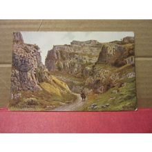 CHEDDAR GORGE by A R Quinton SOMERSET. unused postcard by J. Salmon /