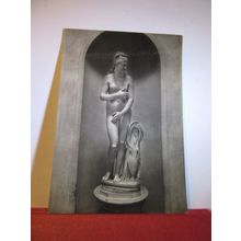 VENUS, ROME CAPITOLINO MUSEUM, ITALY unused postcard =