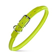 Dog Pet Round Leather Collar W1/3" - L13"-16", Green