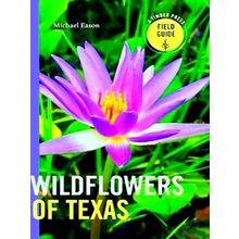 Wildflowers Of Texas