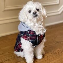 Weekender Dog Sweatshirt Hoodie - Red and Black Plaid Flannel X-SMALL