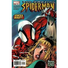 Amazing Spider-Man (Vol 2) # 511 NM MODERN AGE COMICS