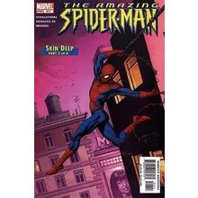 Amazing Spider-Man (Vol 2) # 517 NM MODERN AGE COMICS