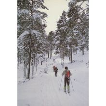 Glen Tanar Scottish Ski Slopes Skiing Postcard