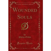 Wounded Souls (Classic Reprint)