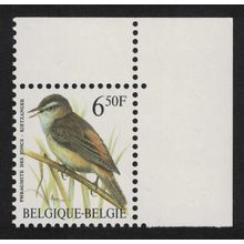 Belgium Sedge-warbler Bird Buzin 'Phragmite des Jones' 6f.50 Corner 1994 MNH