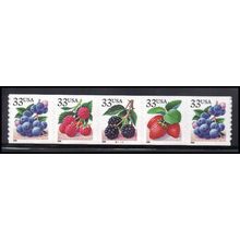 3302-3305 33c Fruit Berries Very Fine MNH PNC B1111/5 KA8087