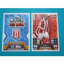 265. Charlie Adam - Stoke City - Match Attax 2013/14 Football Card EF1