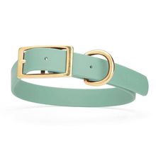Dog Pet Collar with Brass Hardware Size XL W 1” L 22” - 25” Sage Green